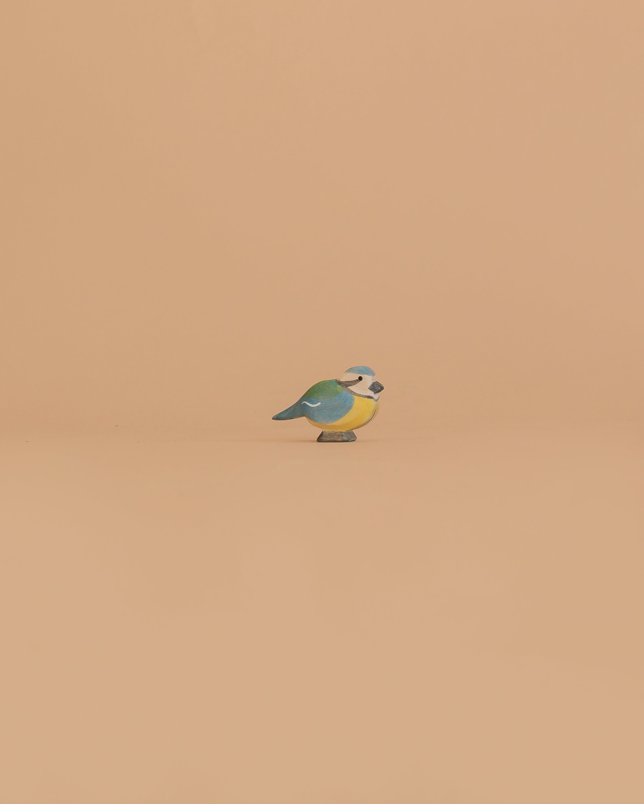 Ostheimer Bird - Blue Tit