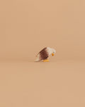 Ostheimer Bird - Bald Eagle, Sitting