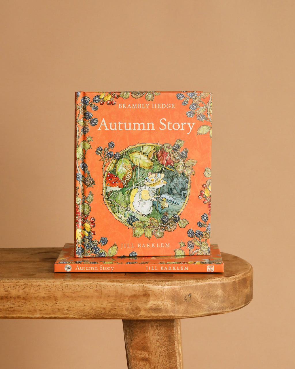 Autumn Story : Jill Barklem