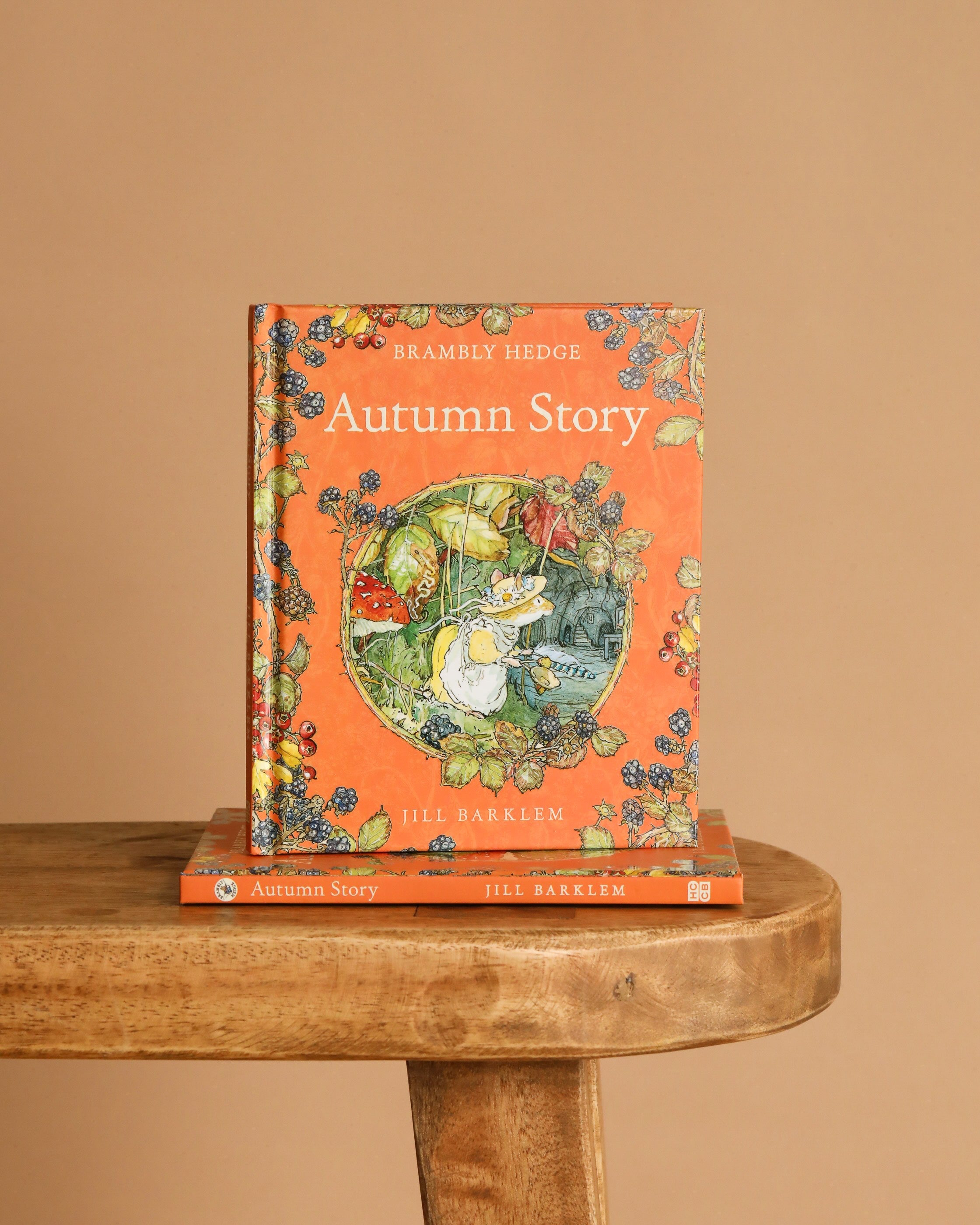 Autumn Story : Jill Barklem