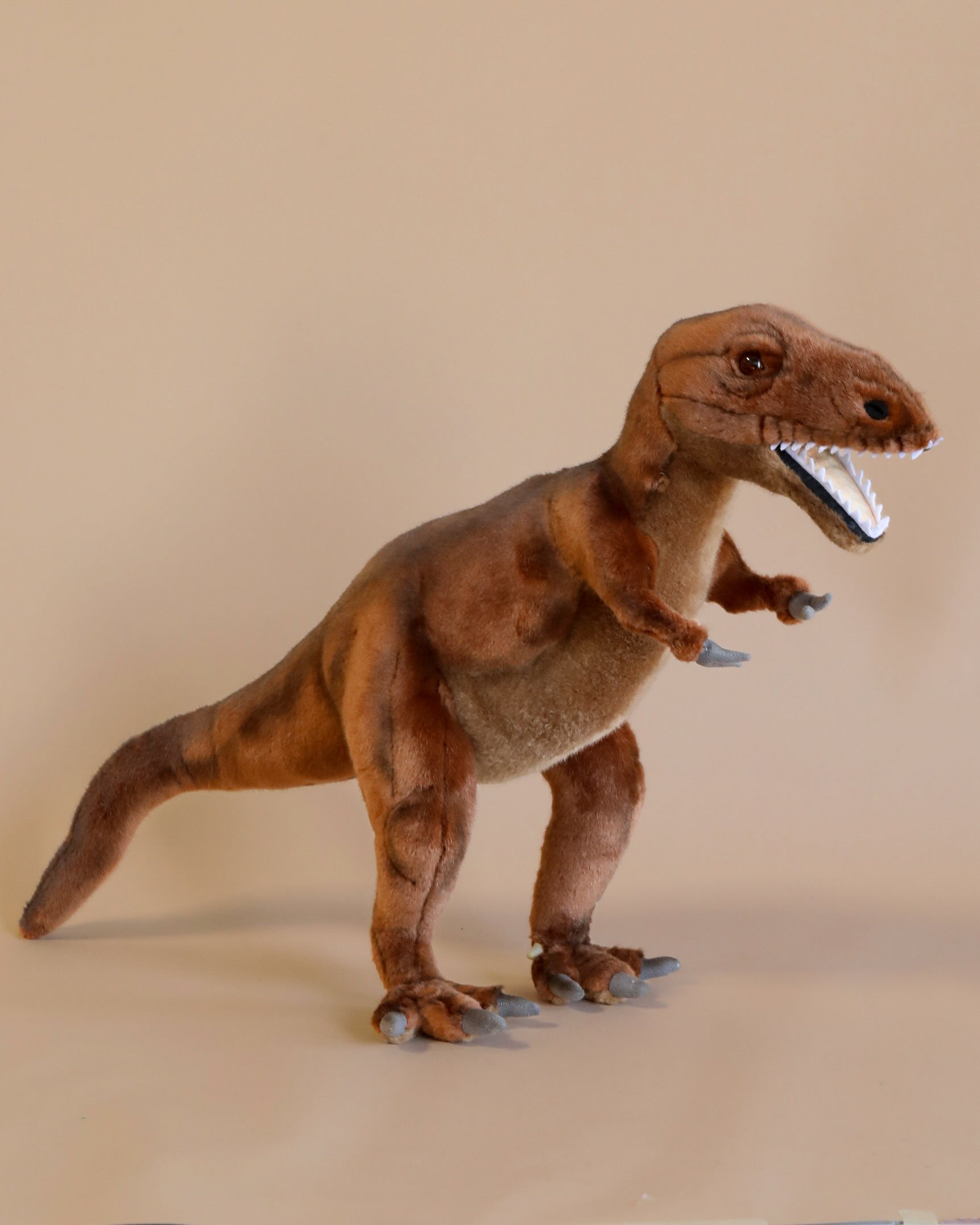 T-Rex Stuffed Animal (ships in one week)