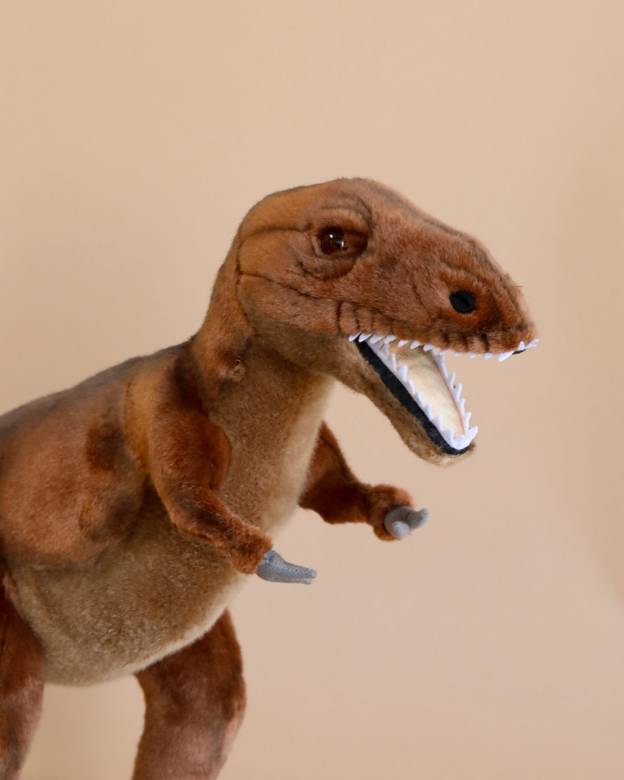 T-Rex Stuffed Animal (ships in one week)