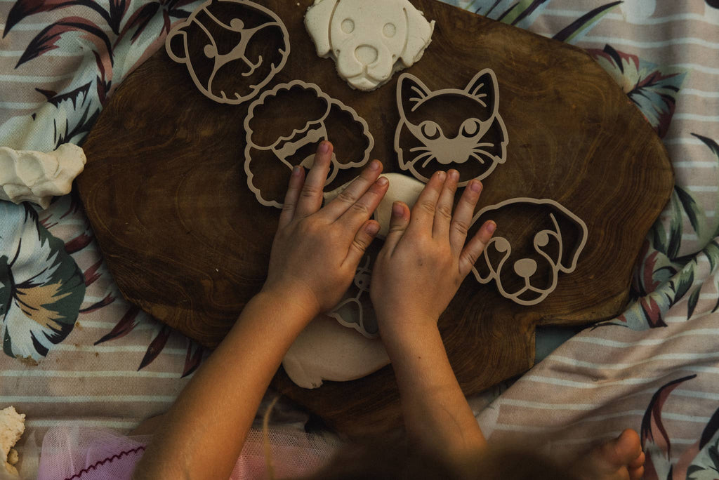 Pet Friends Faces Cutter Set - Eco Playdough Tool