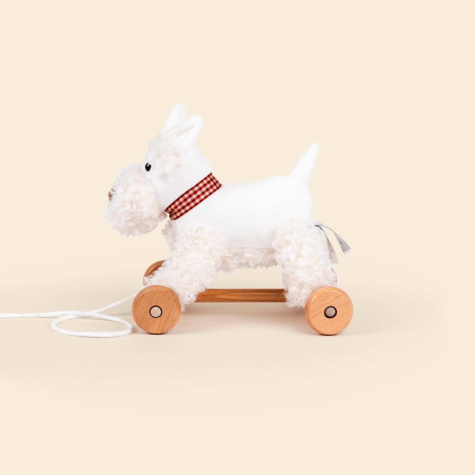 Pull-Along Lola Dog