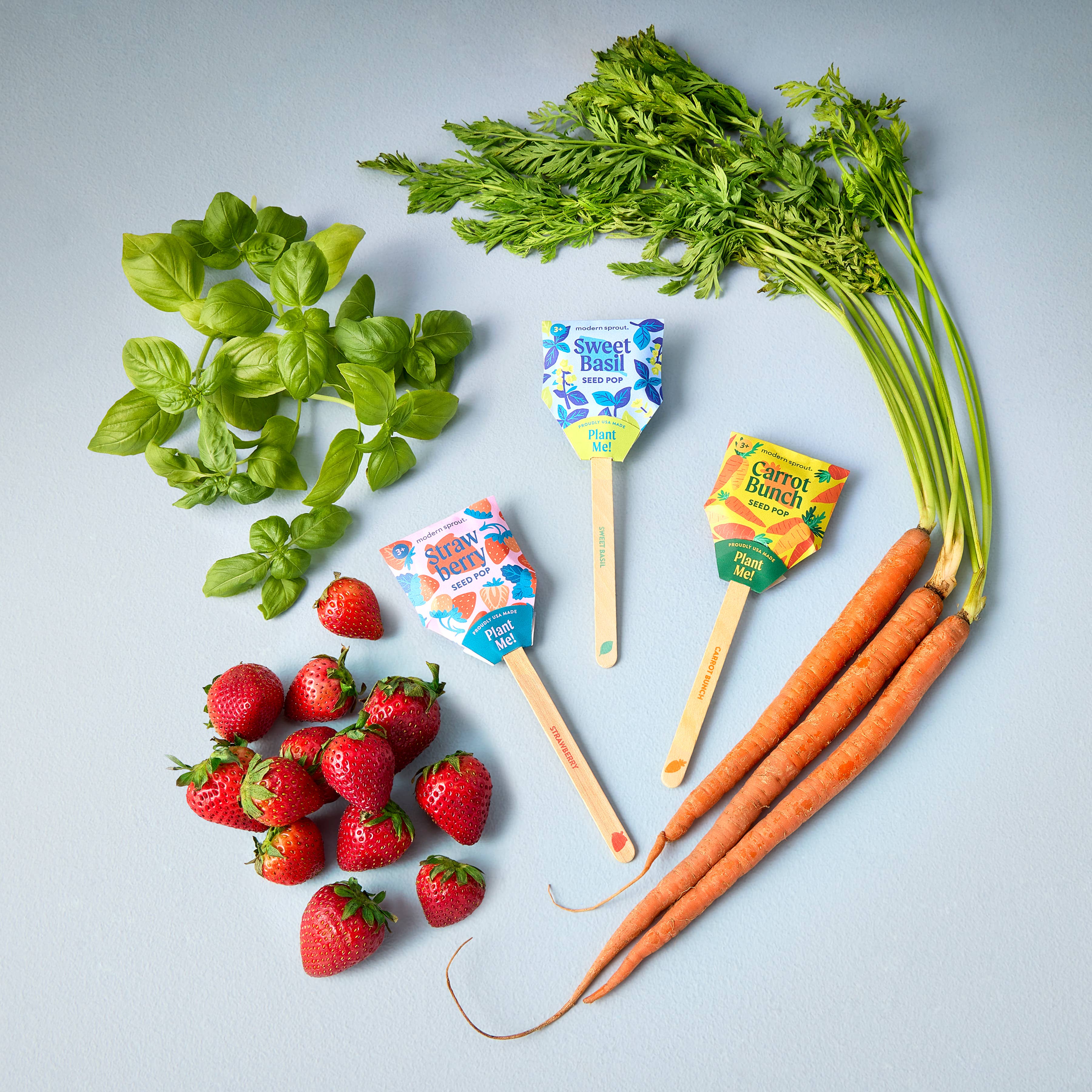 Garden Seed Pop (Single)