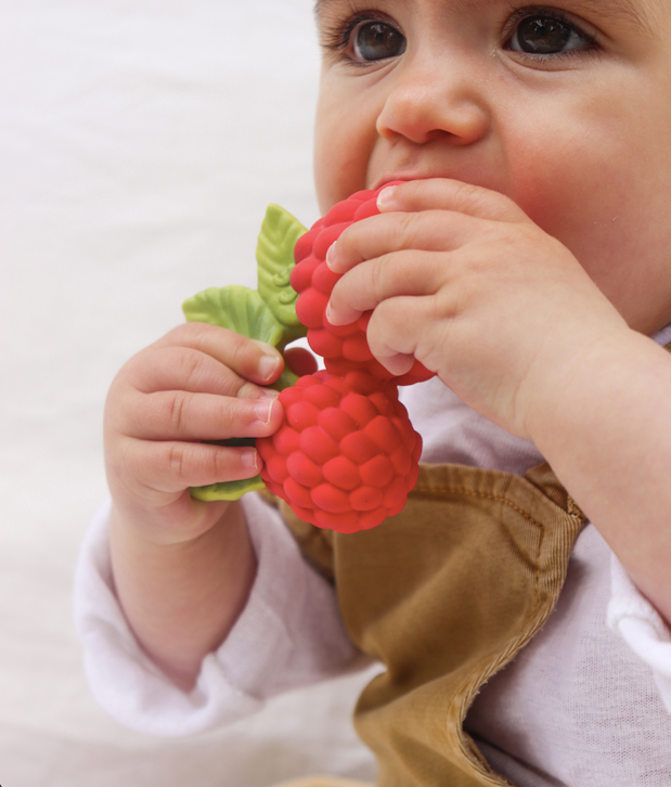 Valery the Raspberry Teething Toy