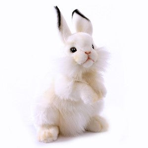 White Bunny Stuffed Animal