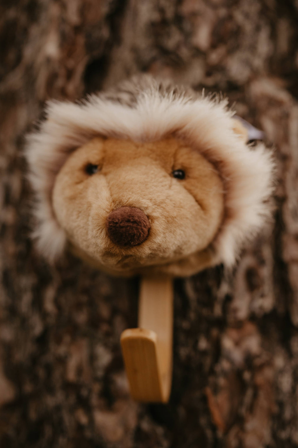 Coat Hanger - Hedgehog
