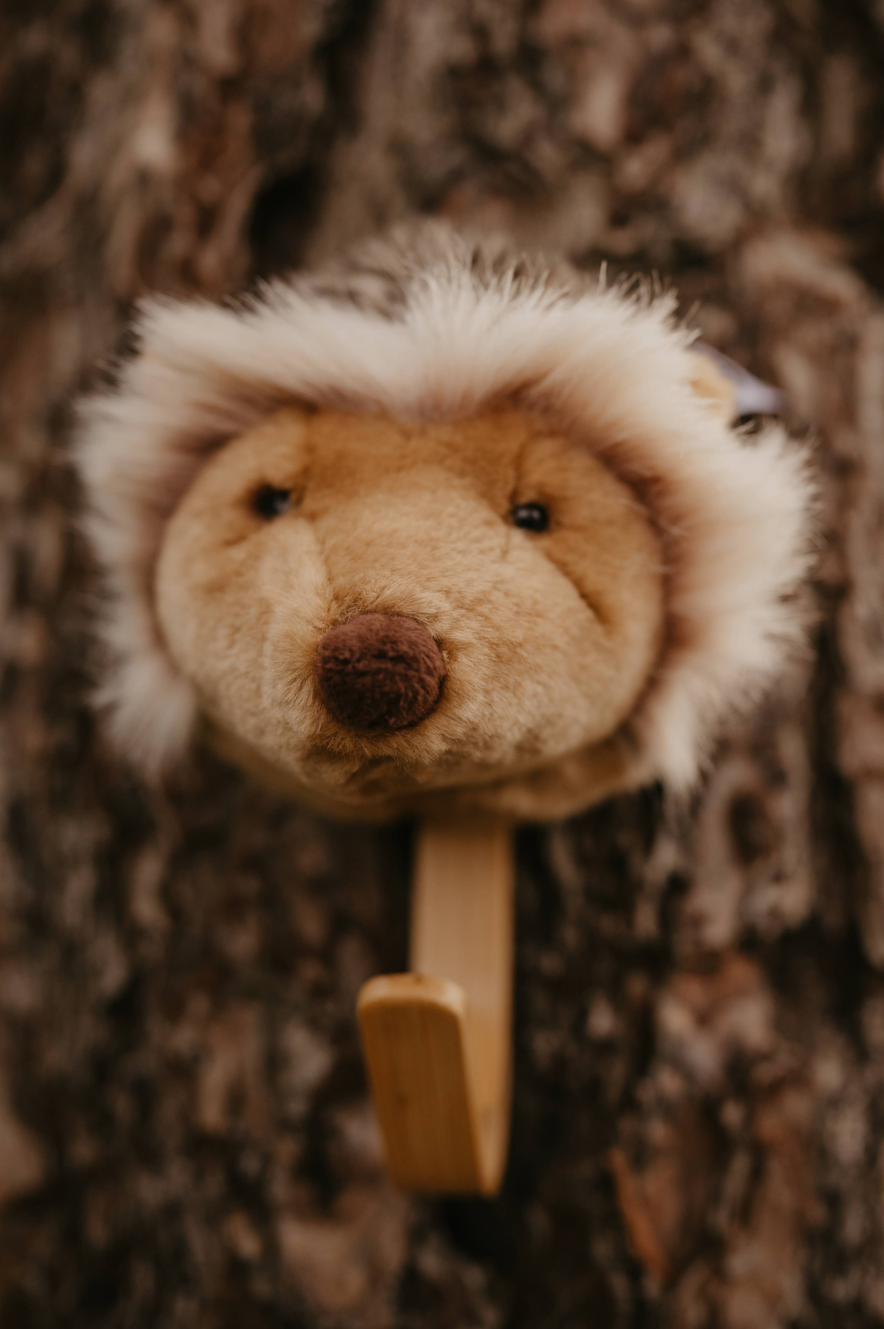 Coat Hanger - Hedgehog