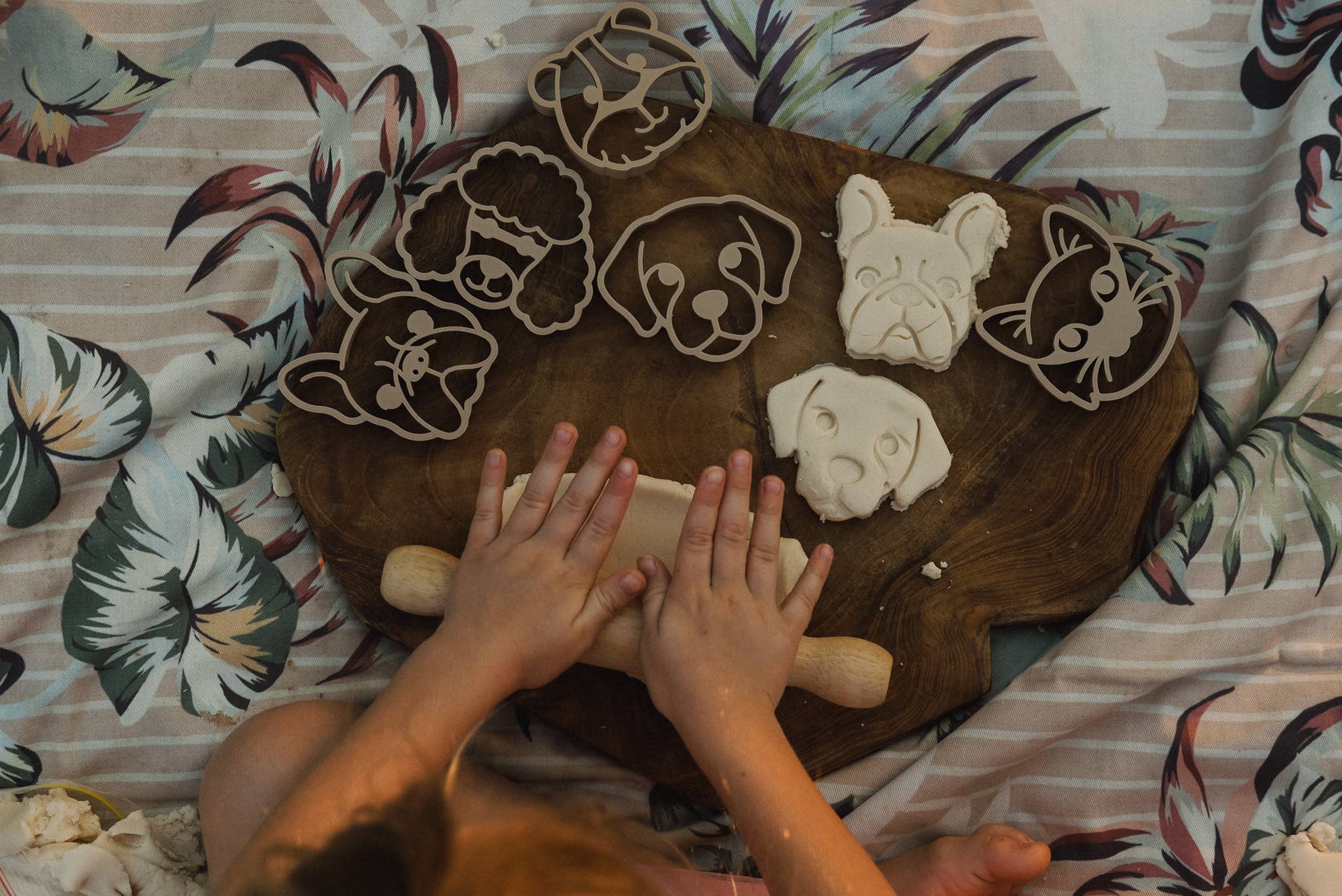 Pet Friends Faces Cutter Set - Eco Playdough Tool