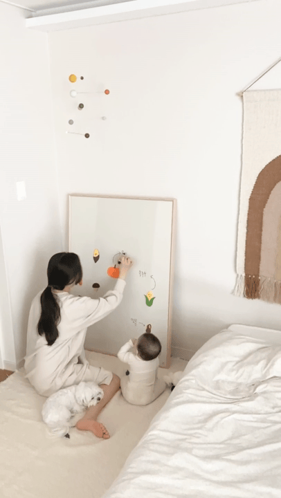 NORITER Signature Double-Sided Board Bundle