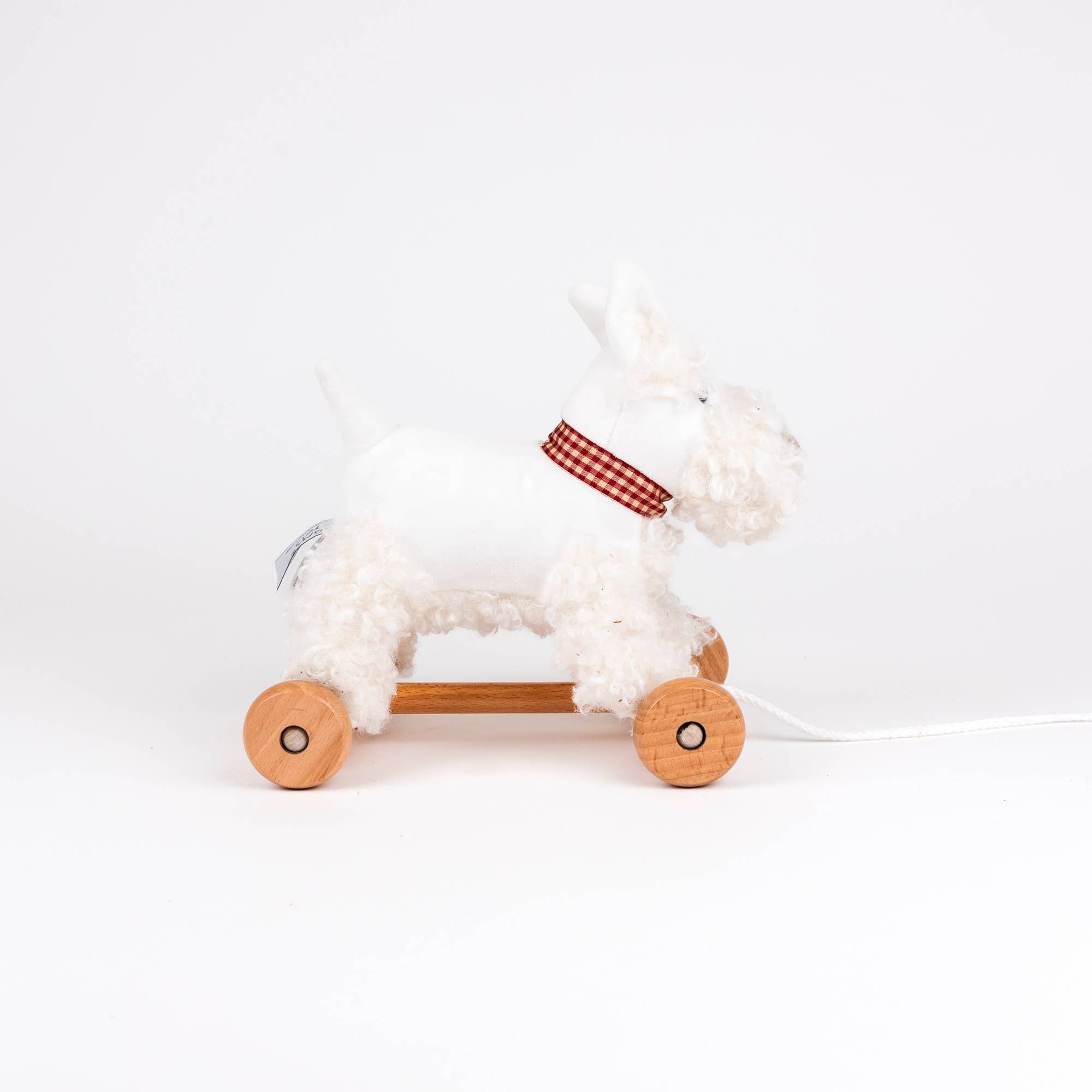Pull-Along Lola Dog