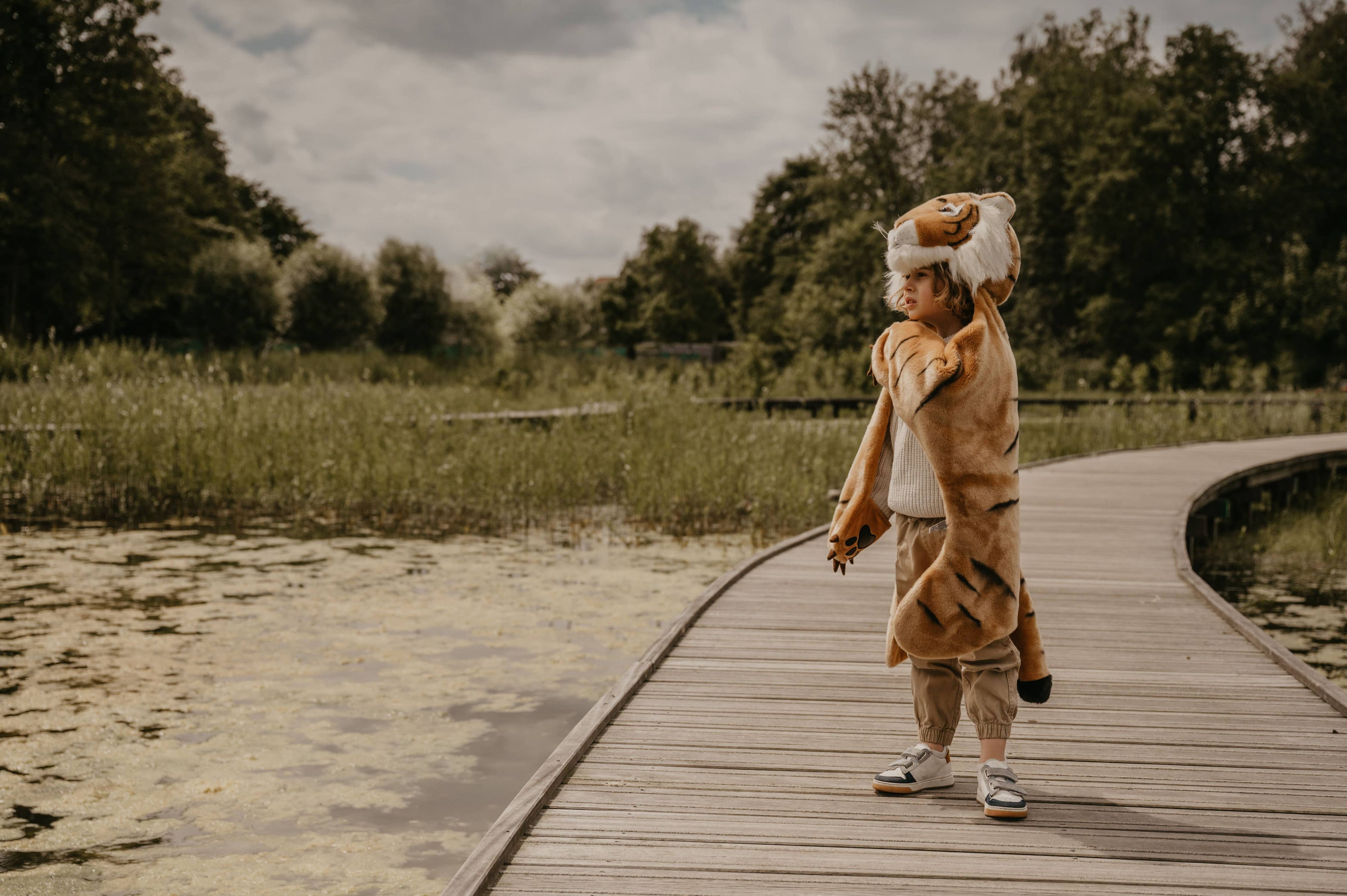 Costume - Tiger