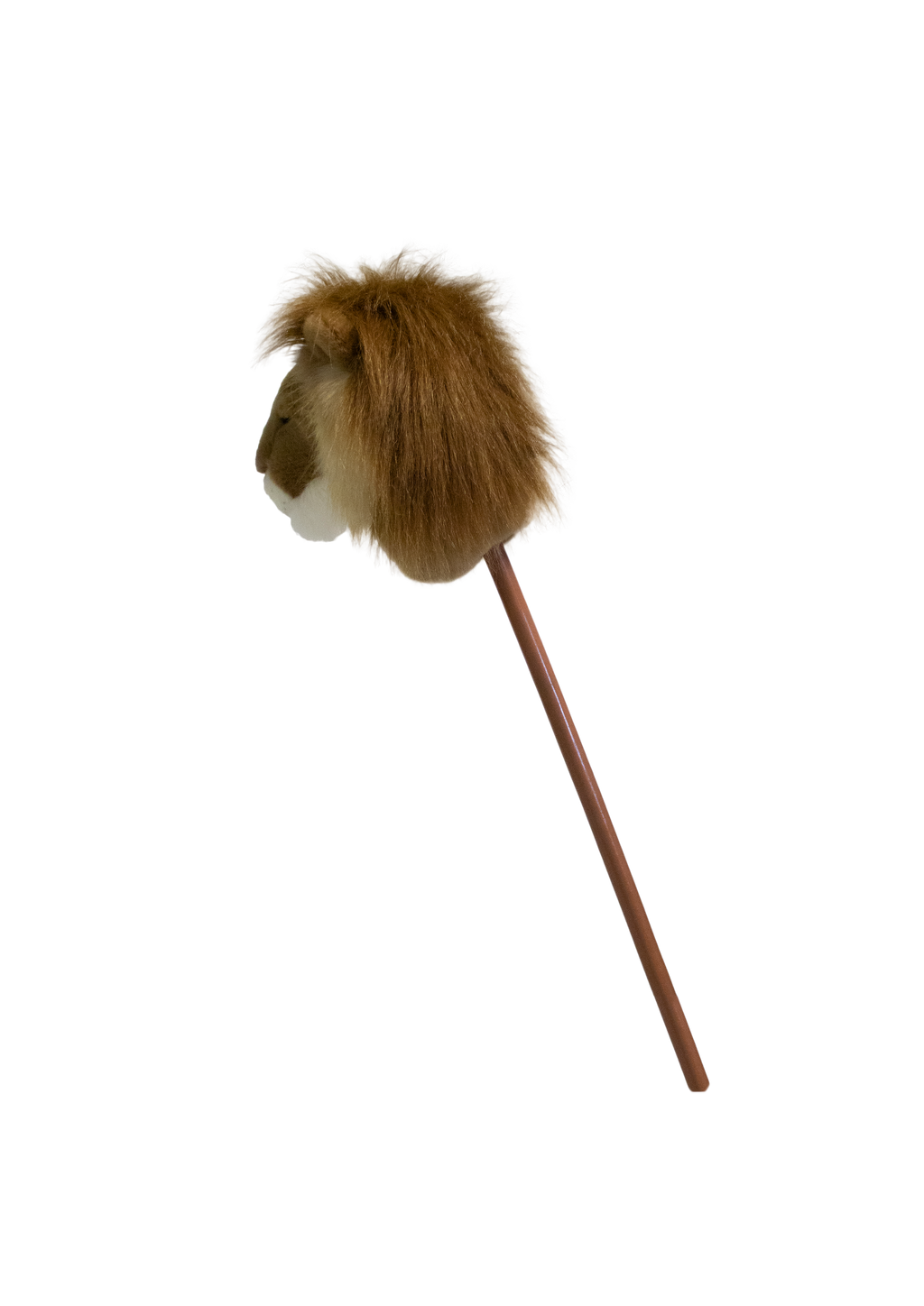 Pretend Play Ride-On Lion