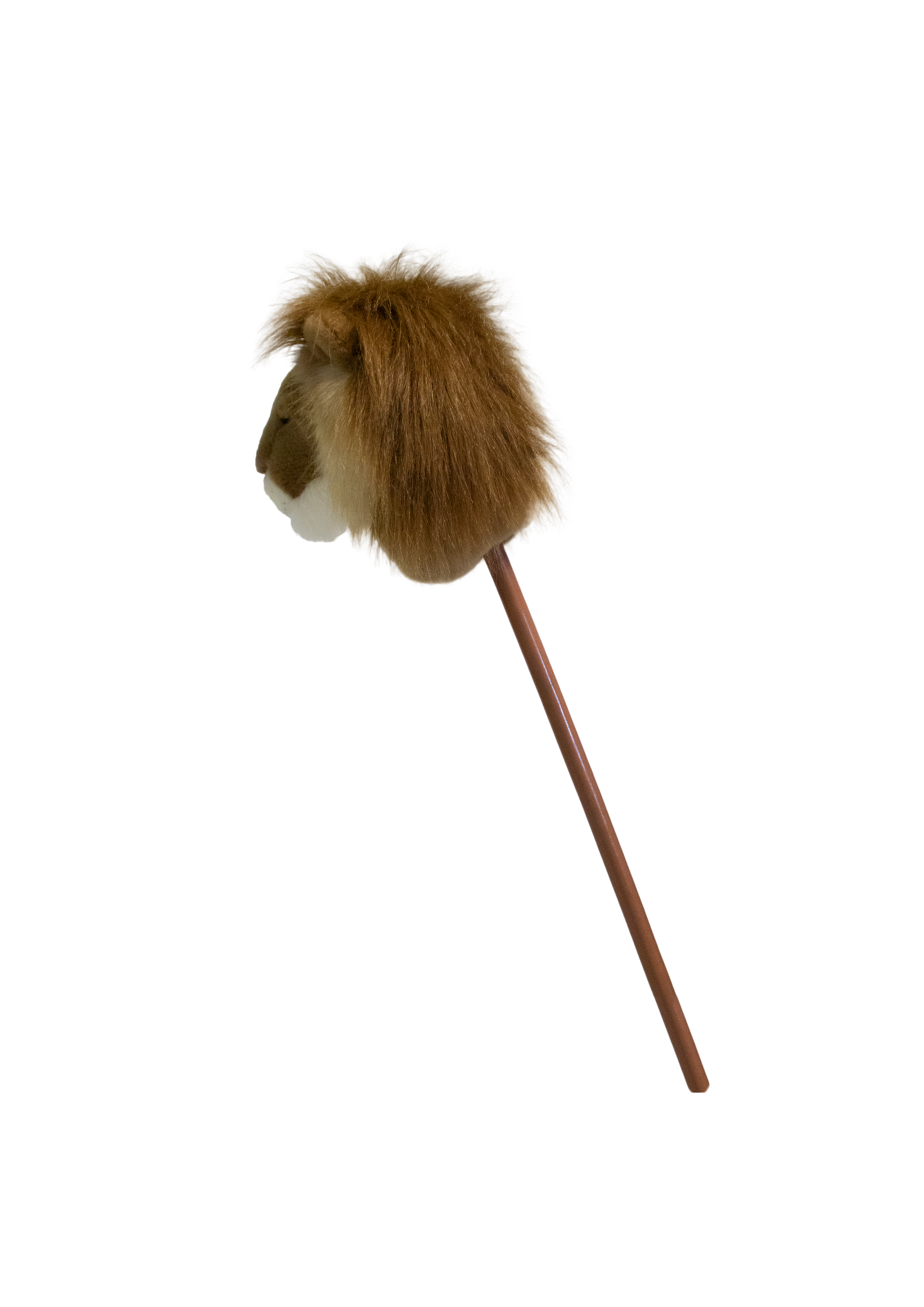Pretend Play Ride-On Lion