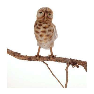 Burrowing Owl Stuffed Animal (ships in one week)
