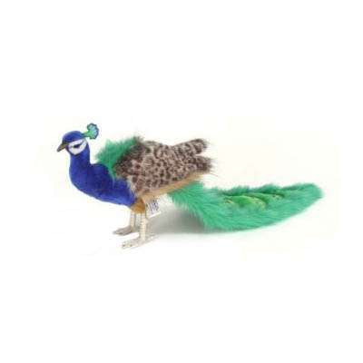 Peacock Stuffed Animal (ships in one week)