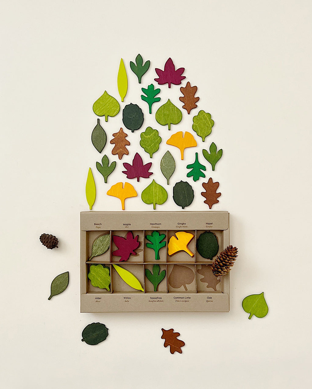 Woodland Leaves