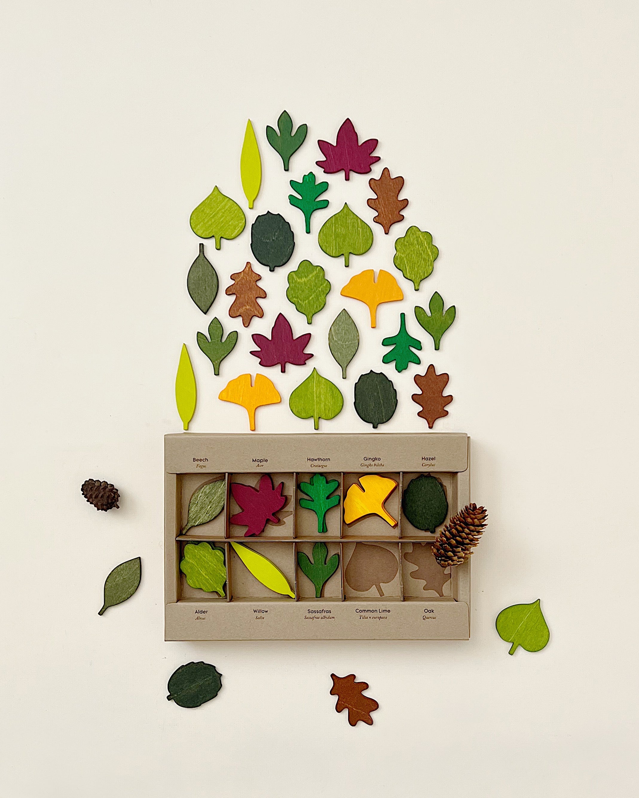 Woodland Leaves