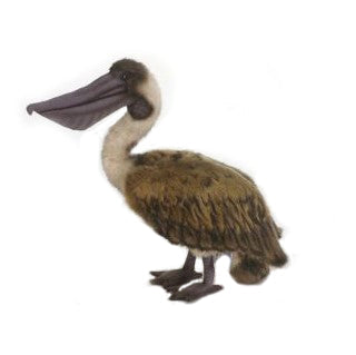 Pelican Stuffed Animal