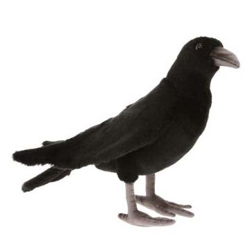 Crow Bird Stuffed Animal