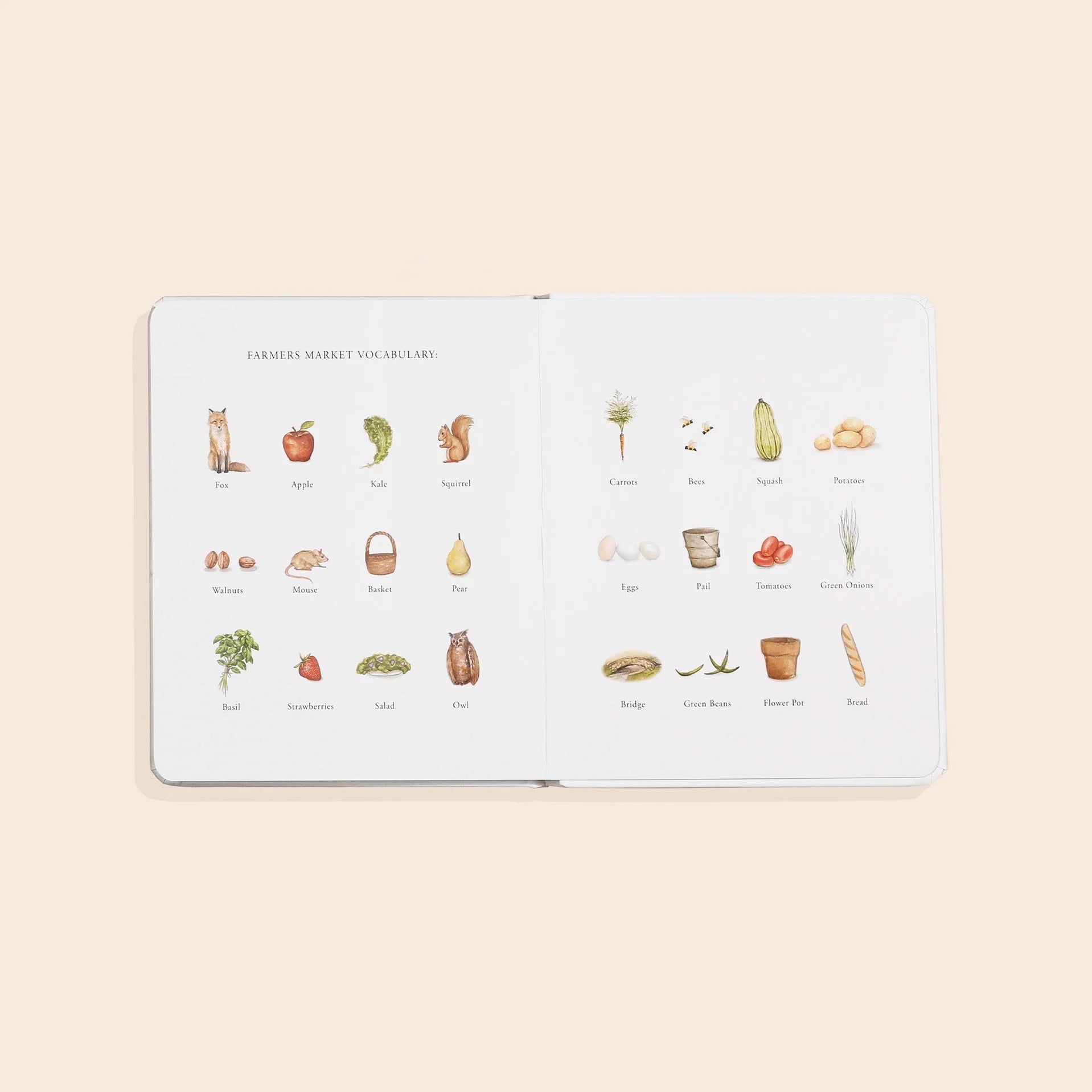 Our Little Adventures To the Farmers Market - Board Book