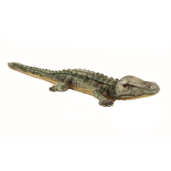 Baby Crocodile Stuffed Animal
