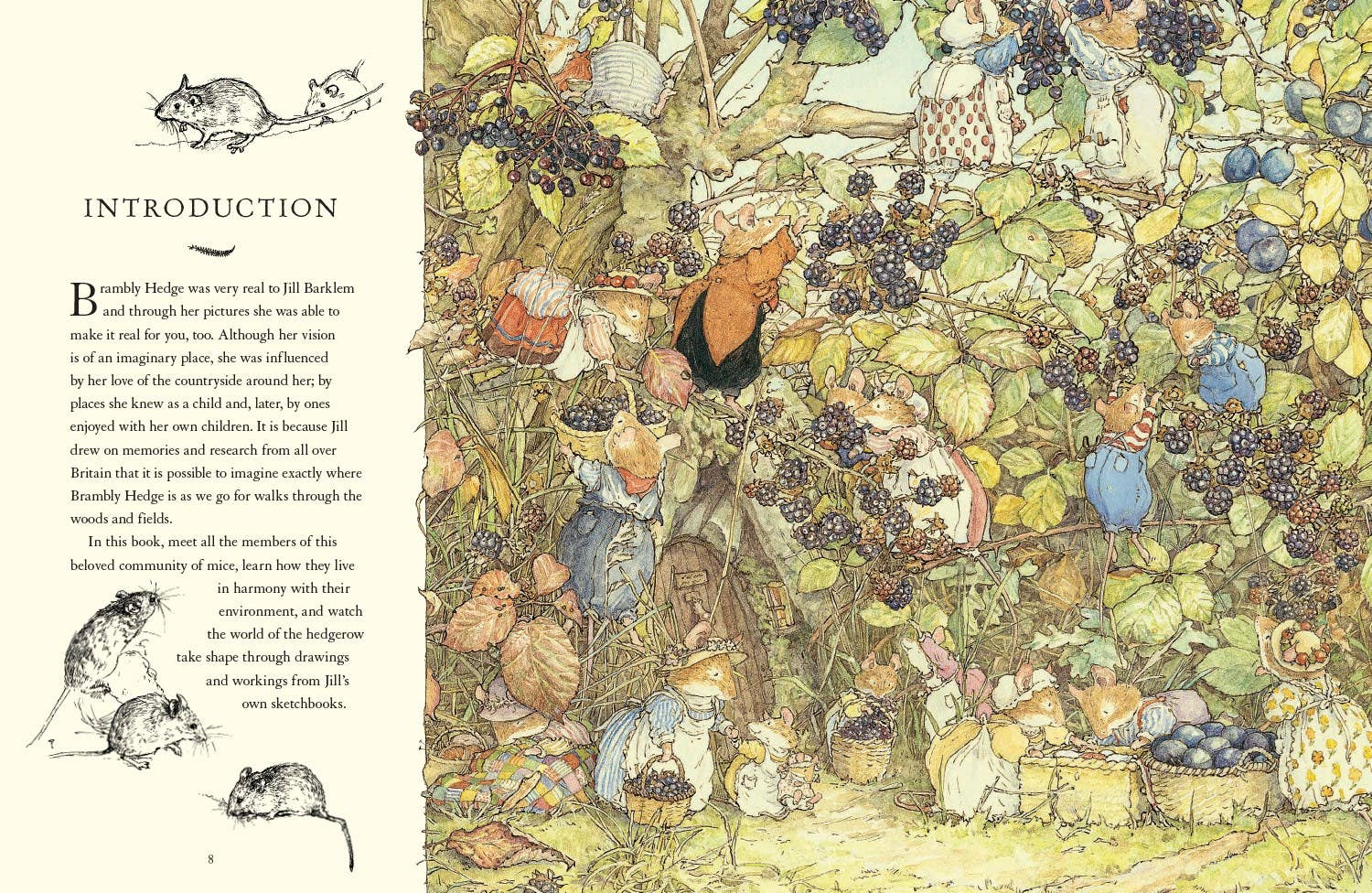 A Visit to Brambly Hedge by Jill Barklem