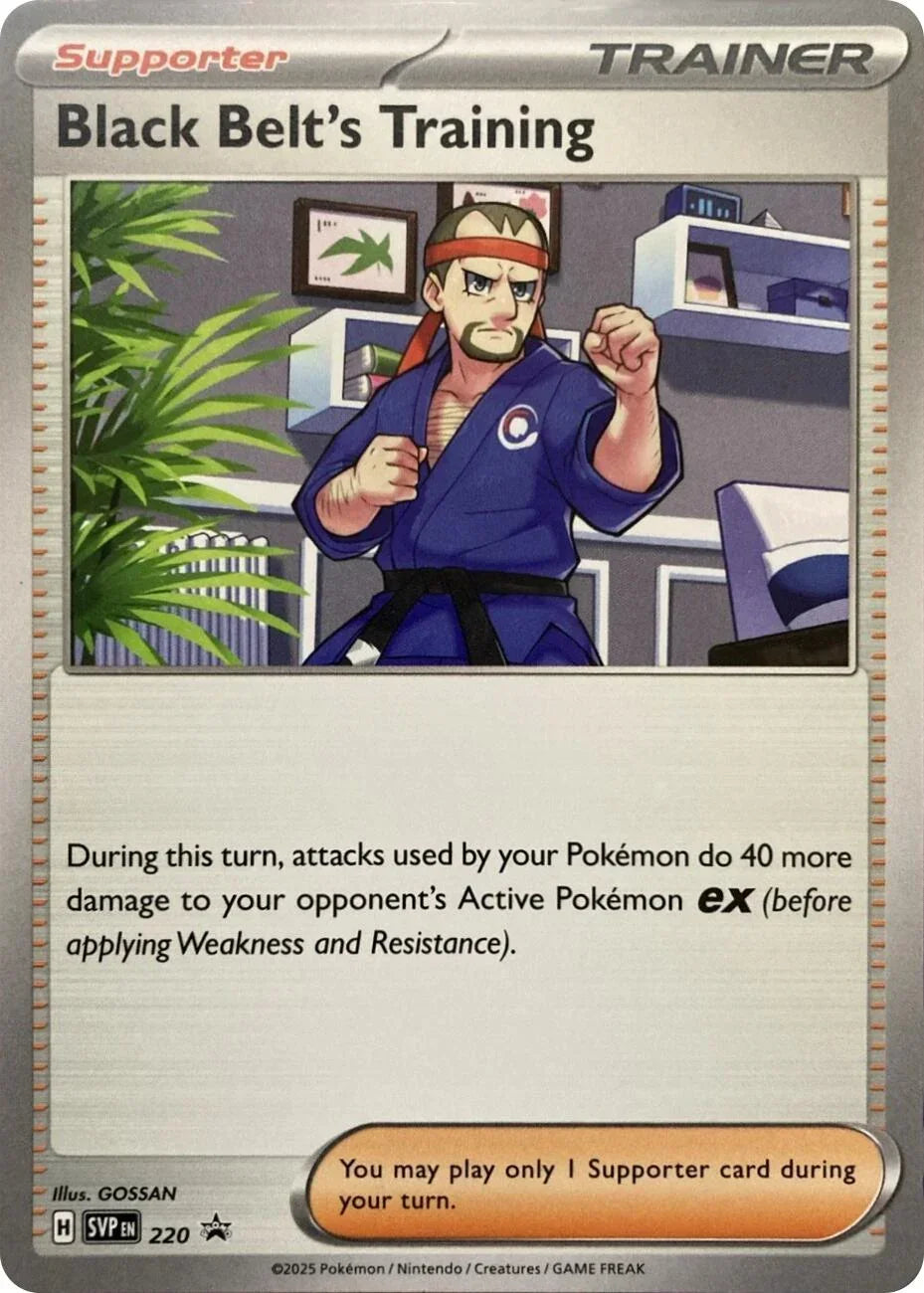 Black Belt's Training (220) [Scarlet & Violet: Black Star Promos]