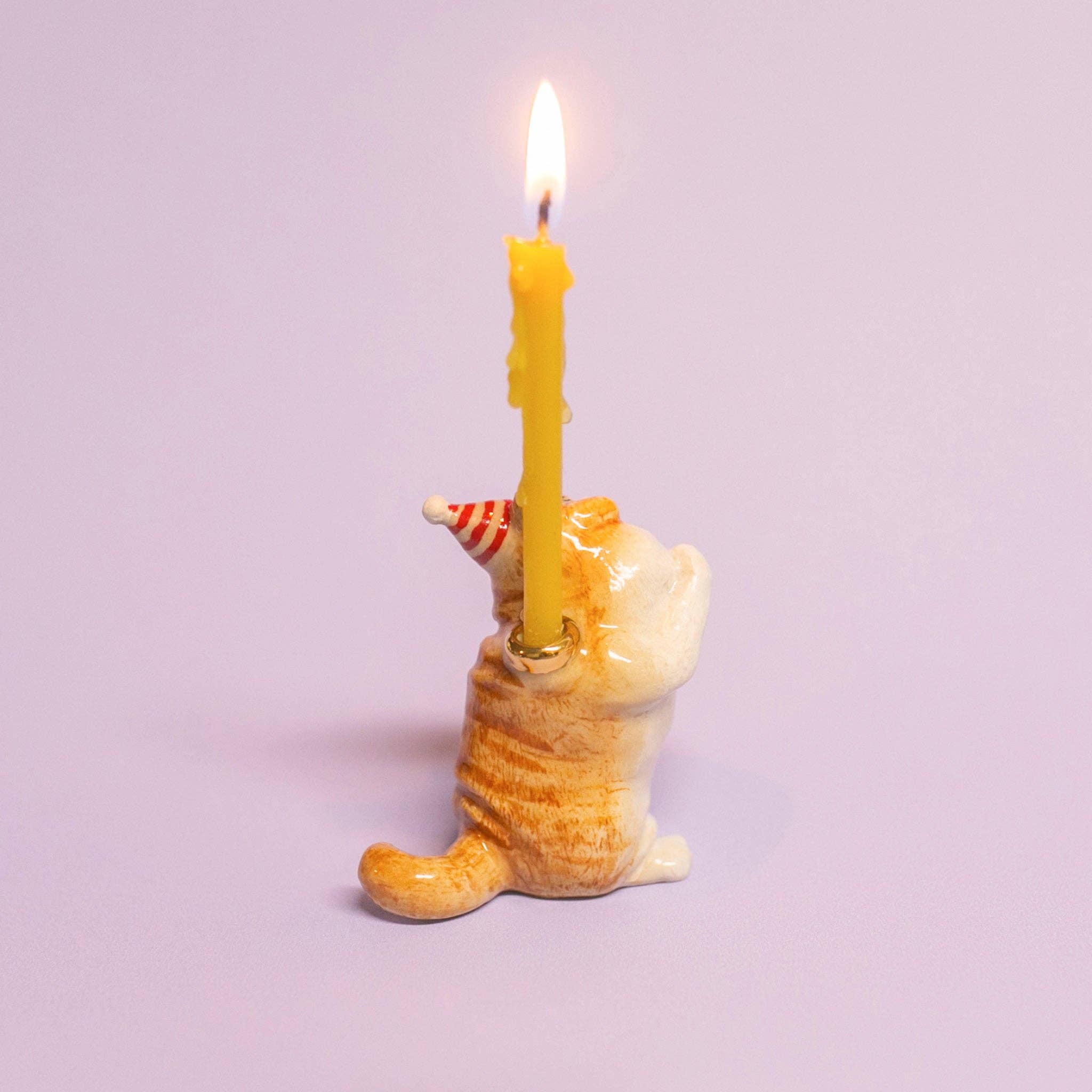Exotic Shorthair Cat Cake Topper - Final Sale