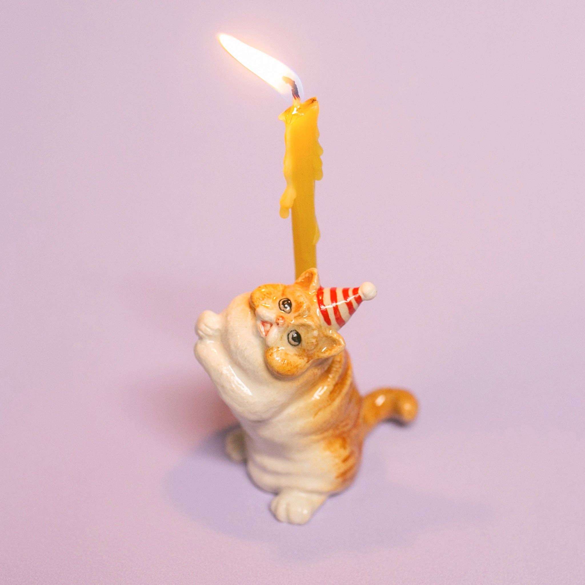 Exotic Shorthair Cat Cake Topper - Final Sale