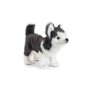 Huskey Puppy Dog Stuffed Animal
