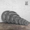 Cast Iron Weight Plates 2-Inch Standard Barbell Plates Solid Iron Gym Weights for Strength Training Weightlifting Bodybuilding Powerlifting Home Gym Multiple Sizes 2.5LB to 100LB