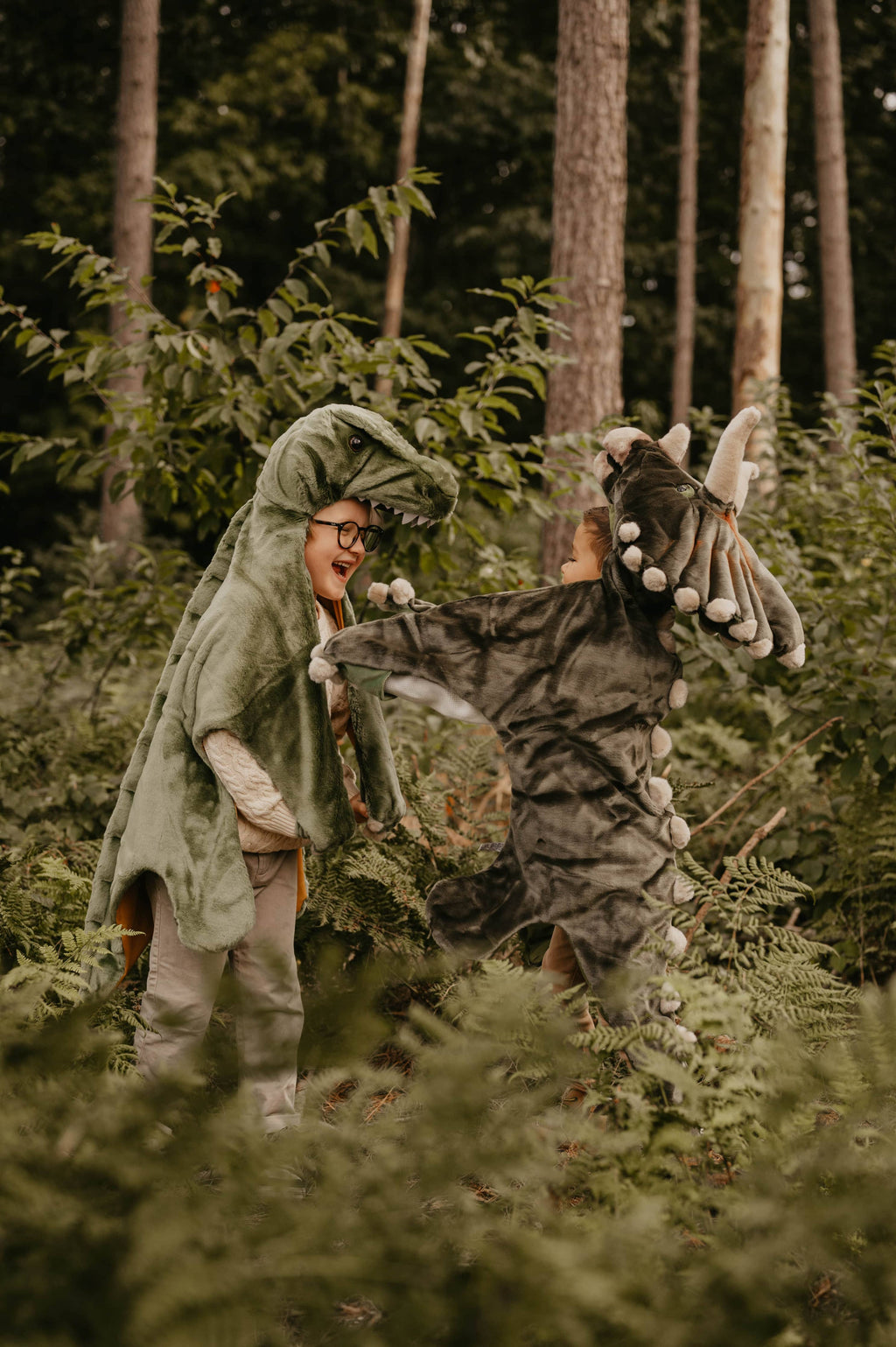 Costume - T-Rex Dino