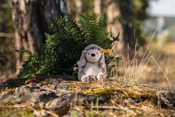 Steiff Hedgy Hedgehog 6"