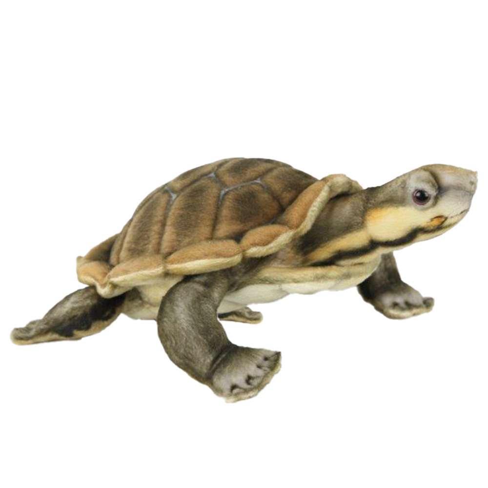 River Turtle Stuffed Animal