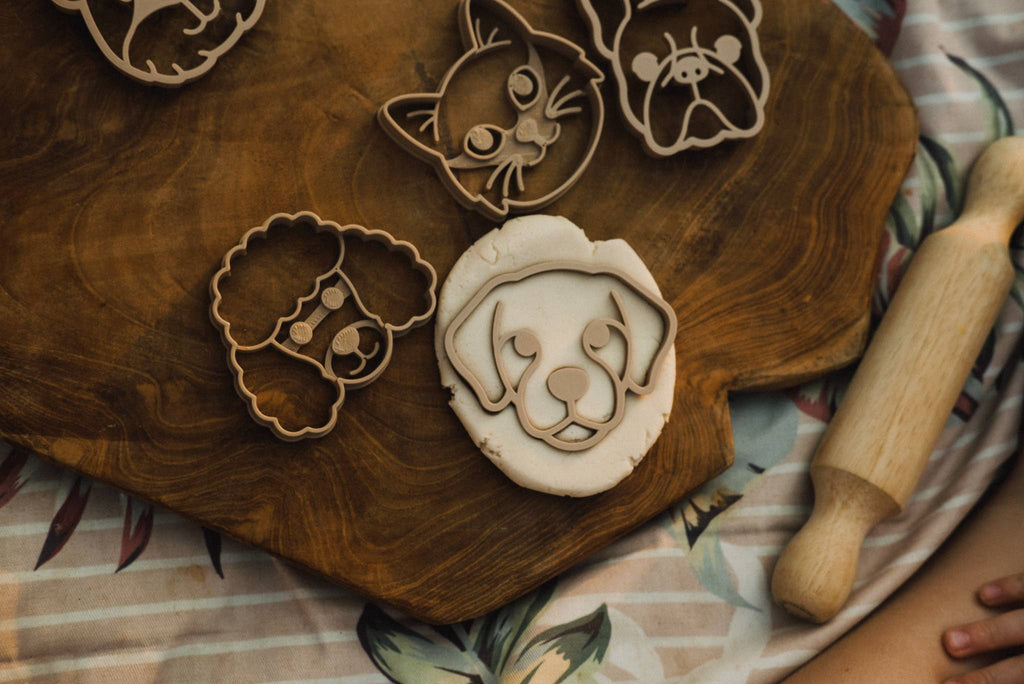 Pet Friends Faces Cutter Set - Eco Playdough Tool