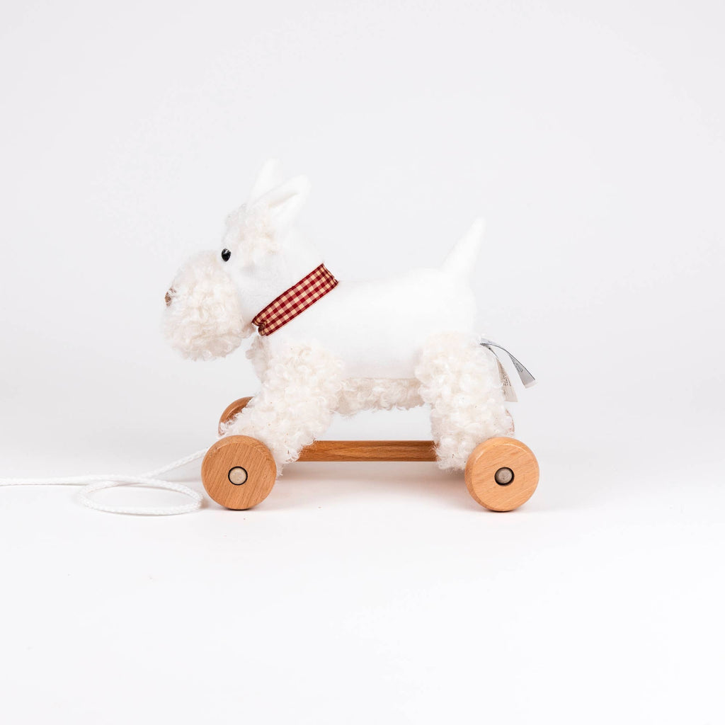 Pull-Along Lola Dog