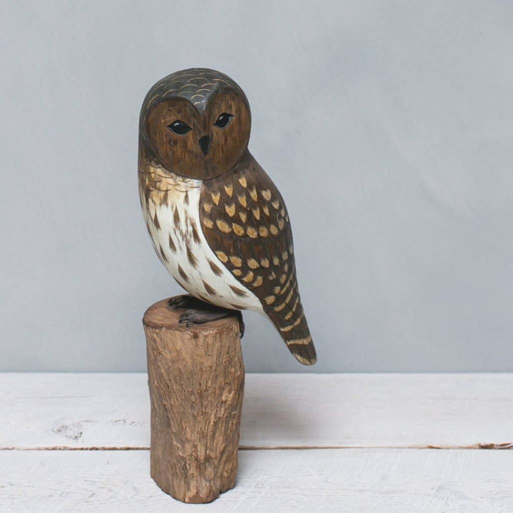 Hand Carved Barred Owl - 13"H