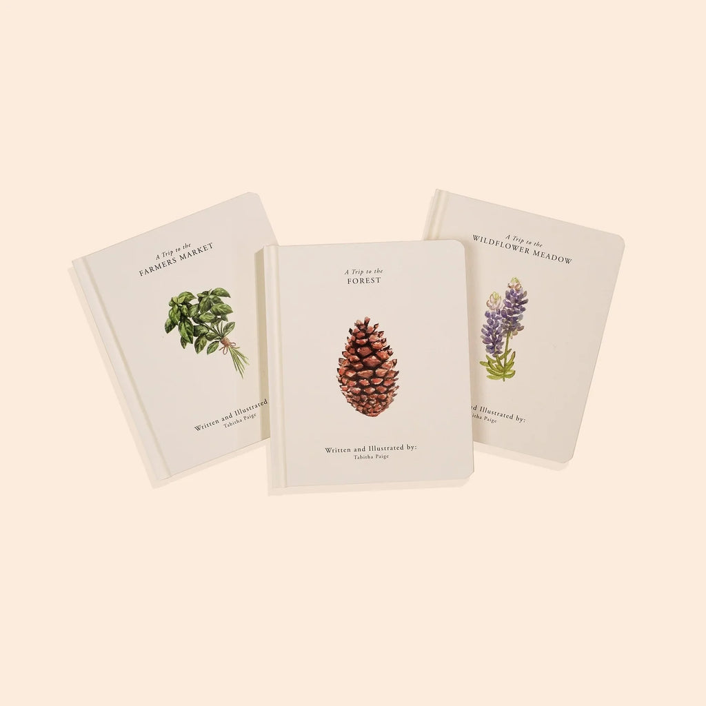 Our Little Adventures Book Box Set