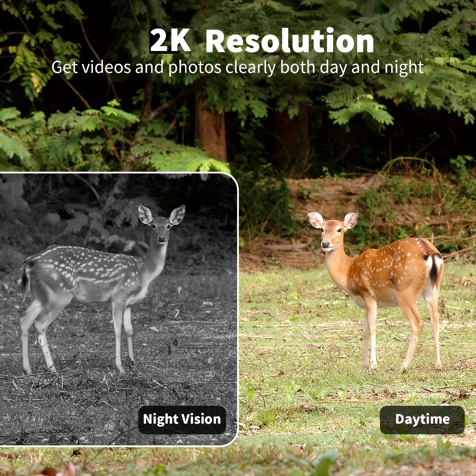 4G Cellular Game Camera Solar Powered - 2K Live View, 0.02s Motion Trigger, Night Vision, No WiFi Needed for Hunting & Wildlife