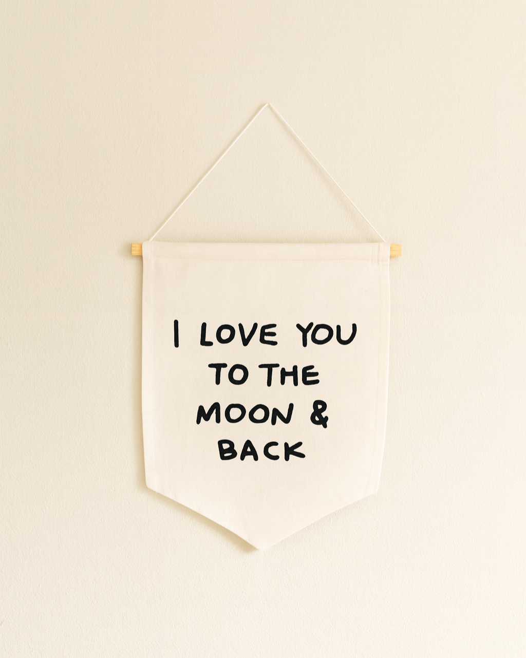 I Love You To The Moon And Back Canvas Sign