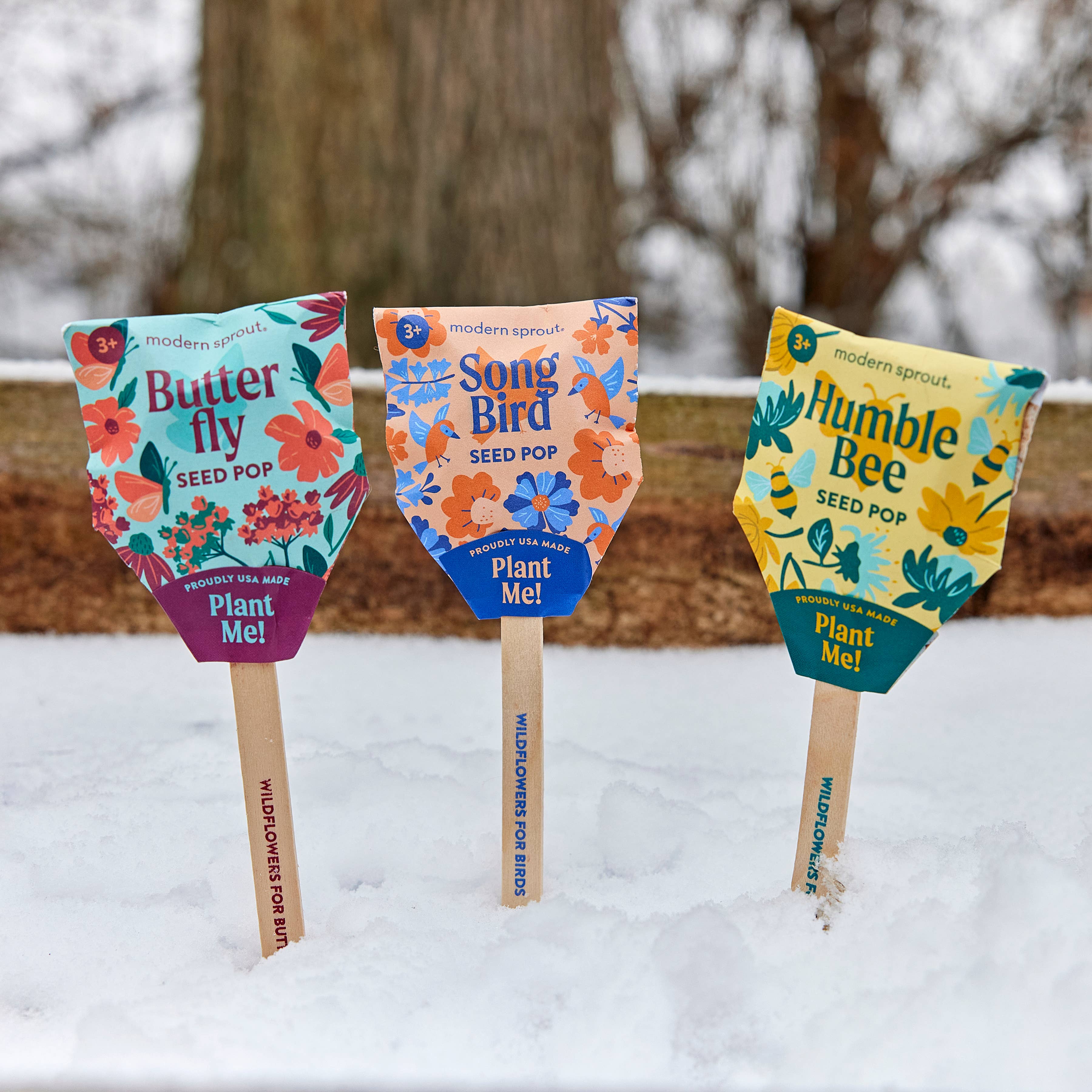 Pollinator Seed Pop (Single)