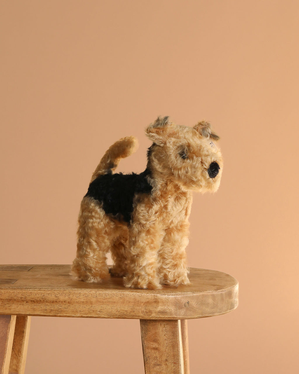 Steiff Mohair Terri Welsh Terrier, 10 inches