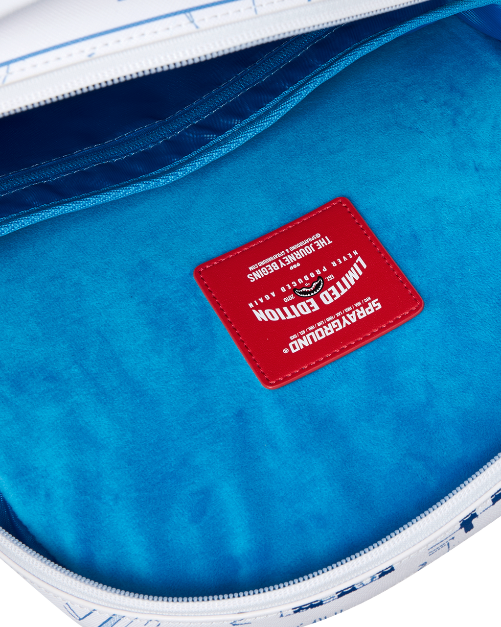 FRANK LLOYD WRIGHT COLLAB BREAKING THE BOX BACKPACK