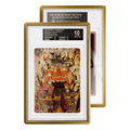 GradedGuard Metallic (BGS)