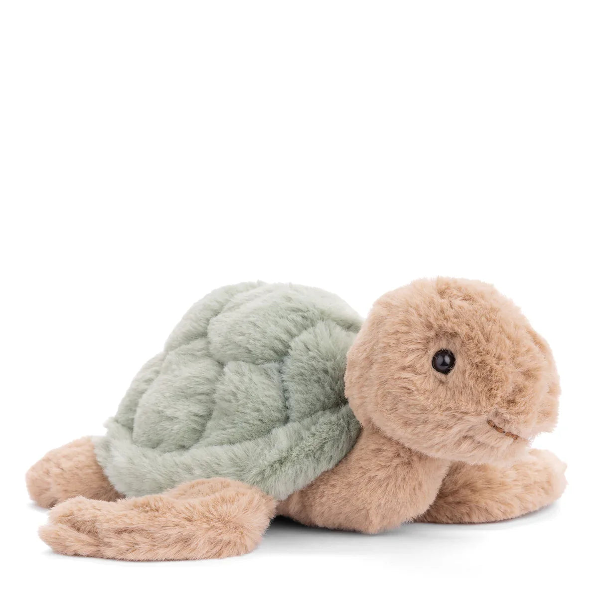 Bukowski - Baby Sandy Sea Turtle - Green