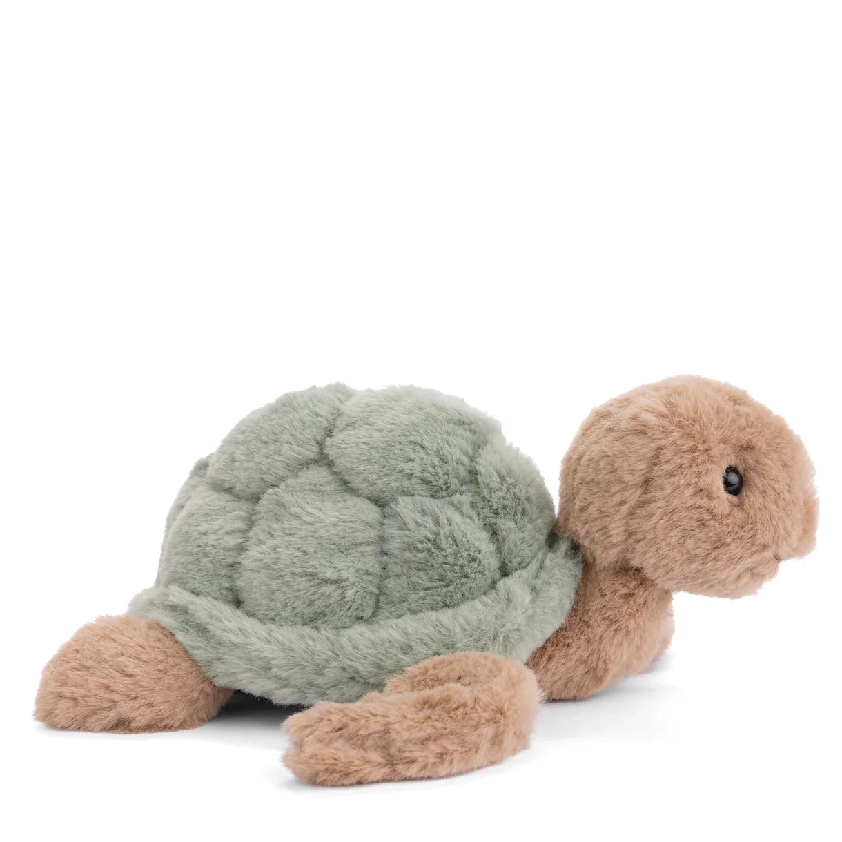 Bukowski - Baby Sandy Sea Turtle - Green
