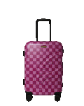 A.I. AFRICAN INTELLIGENCE THE SUNSET RESET CARRY ON LUGGAGE - SANDFLOWER COLLAB