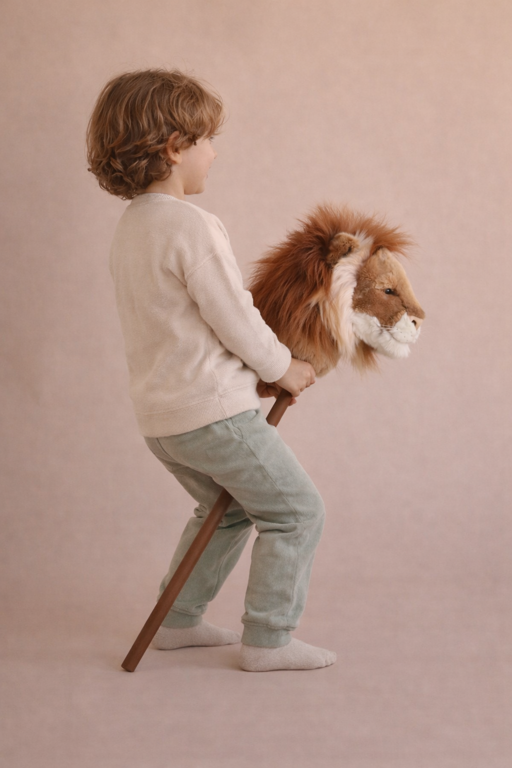 Pretend Play Ride-On Lion